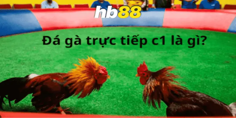 Các Hình Thức Cá Cược Phổ Biến Trong Đá Gà Trực Tiếp C1